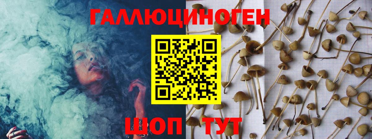 Псилоцибиновые грибы прущие грибы  Вход с VPN  Ростов-на-Дону 